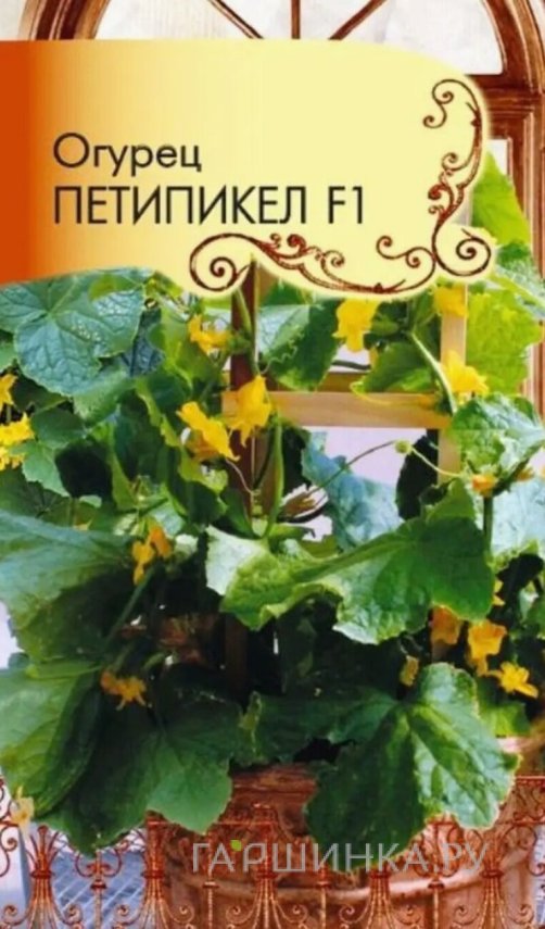 Семена  Огурец Петипикел F1  (Огород на балконе!)  3 шт Плазменные семена