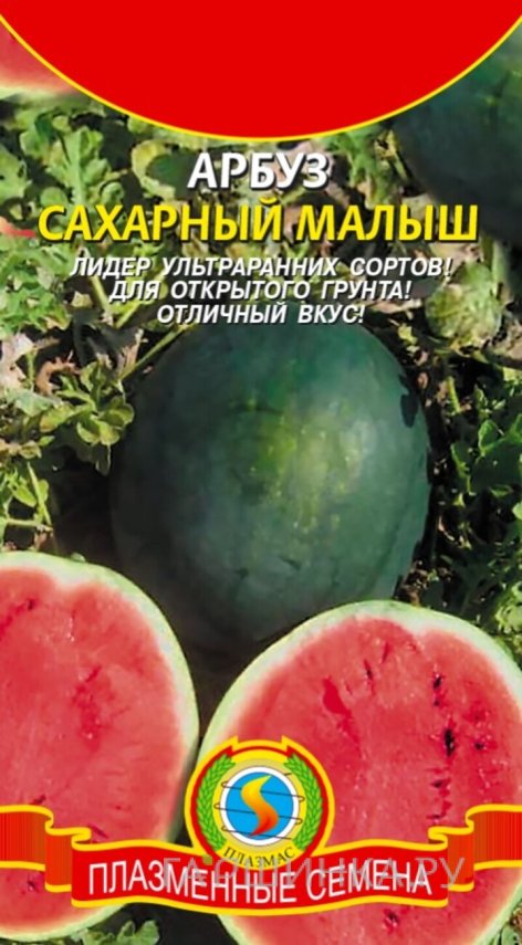 Семена  Арбуз Сахарный малыш  1 гр Плазменные семена