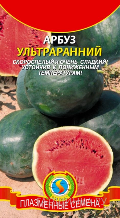 Семена  Арбуз Ультраранний  1 гр Плазменные семена