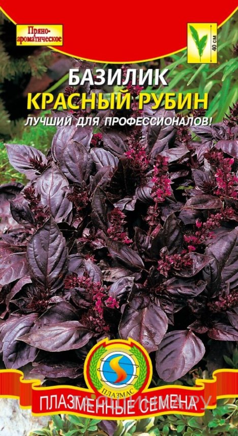 Семена  Базилик Красный Рубин  0,15 гр Плазменные семена