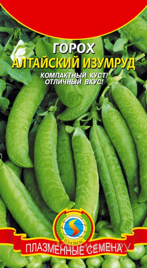 Семена  Горох Алтайский Изумруд  7 гр Плазменные семена