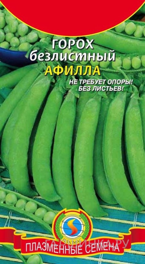 Семена  Горох Афилла безлистный  5 гр Плазменные семена
