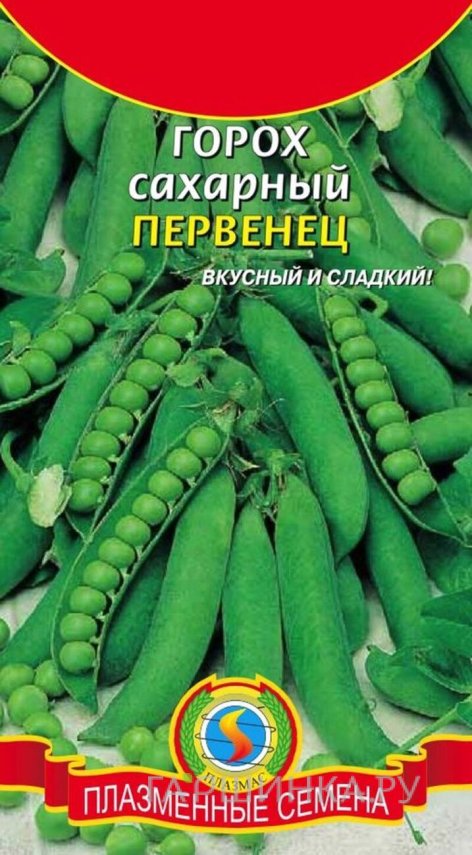 Семена  Горох Первенец сахарный  9 гр Плазменные семена