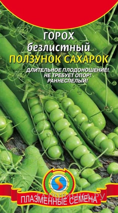 Семена  Горох Ползунок-сахарок безлистный  5 гр Плазменные семена
