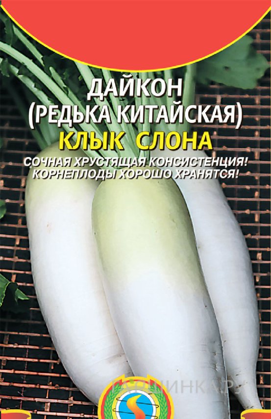 Семена  Дайкон (Редька китайская) Клык слона  1 гр Плазменные семена