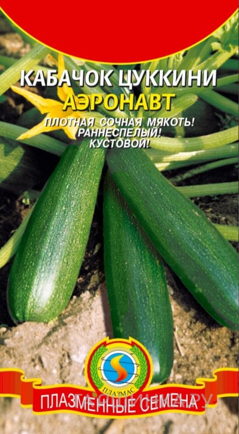 Семена  Кабачок цуккини Аэронавт  10 шт Плазменные семена