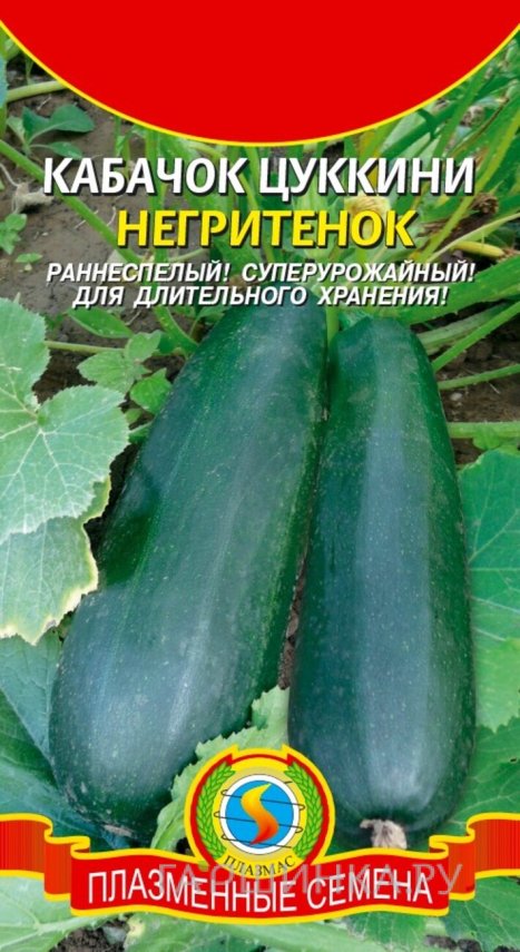 Семена  Кабачок цуккини Негритенок  10 шт Плазменные семена