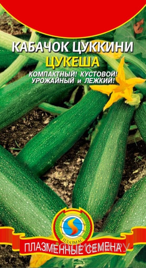 Семена  Кабачок цуккини Цукеша  10 шт Плазменные семена