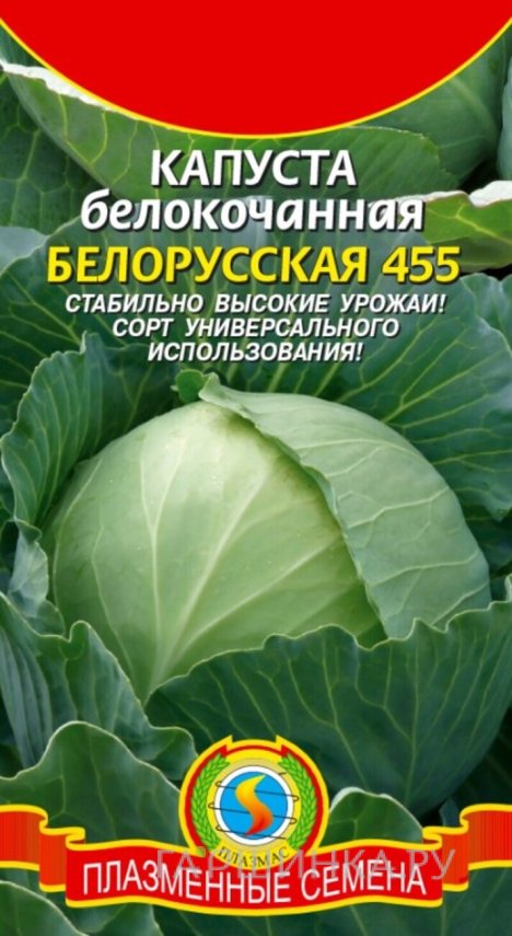 Семена  Капуста б/к Белорусская 455  0,5 гр Плазменные семена