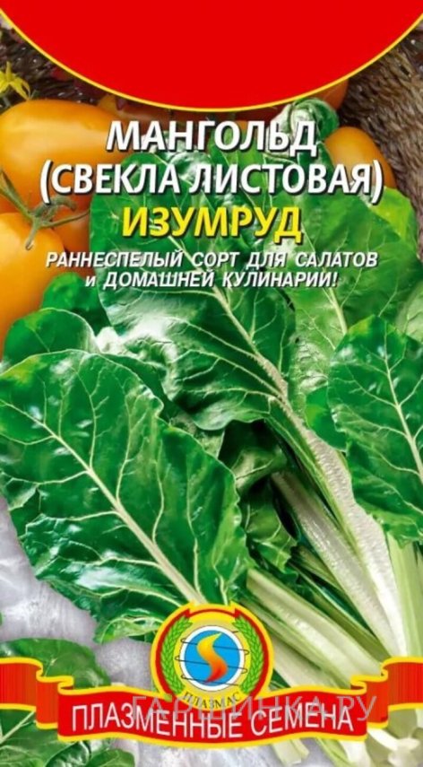 Семена  Мангольд (Свекла листовая) Изумруд  2 гр Плазменные семена