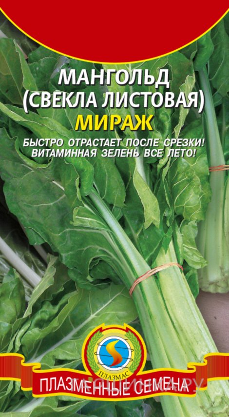 Семена  Мангольд (Свекла листовая) Мираж  2 гр Плазменные семена