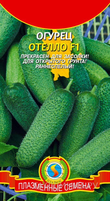 Семена  Огурец Отелло F1  10 шт Плазменные семена