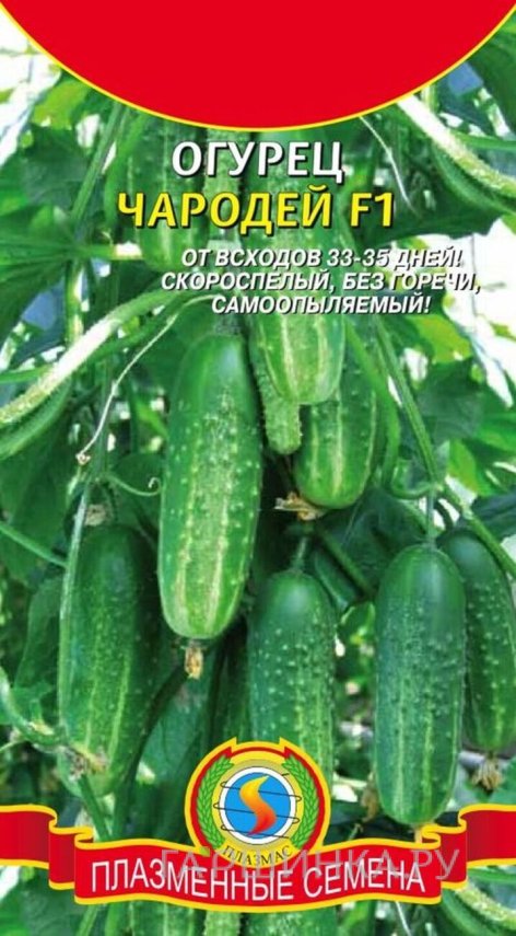 Семена  Огурец Чародей F1  10 шт Плазменные семена