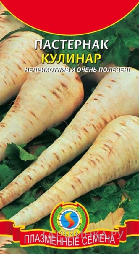 Семена  Пастернак Кулинар  0,5 гр Плазменные семена