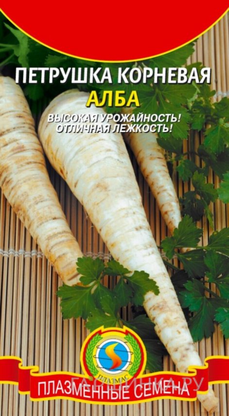 Семена  Петрушка корневая Алба  1,5 гр Плазменные семена
