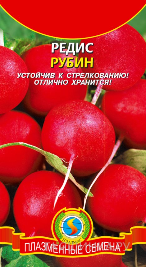 Семена  Редис Рубин  2 гр Плазменные семена
