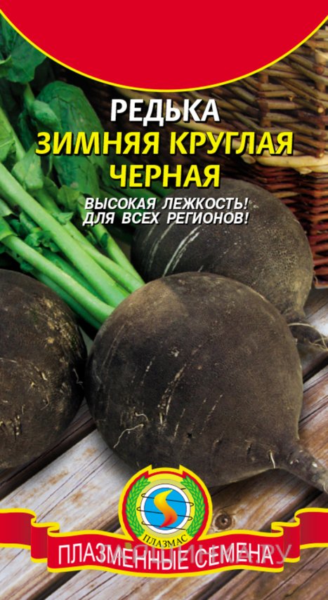 Семена  Редька Зимняя круглая черная  1 гр Плазменные семена