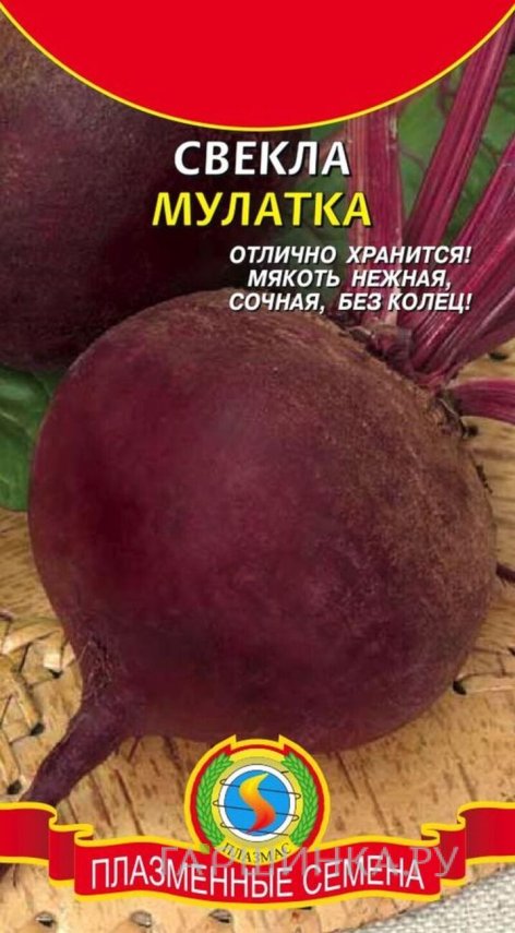 Семена  Свекла Мулатка  2 гр Плазменные семена