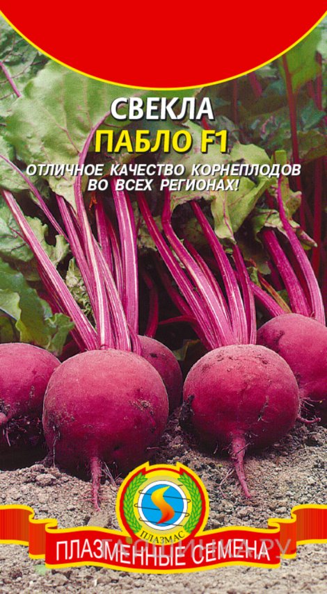 Семена  Свекла Пабло F1  75 шт Плазменные семена