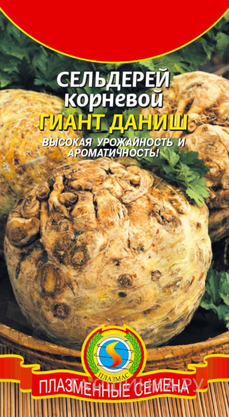 Семена  Сельдерей корневой Гигант Даниш  0,45 гр Плазменные семена