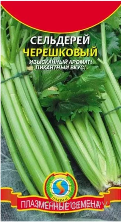 Семена  Сельдерей черешковый  0,5 гр Плазменные семена