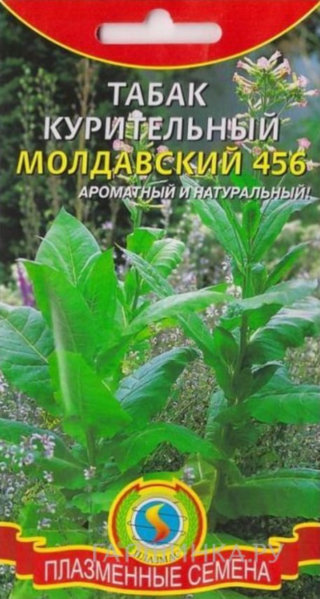 Семена  Табак курительный Молдавский 456  0,01 гр Плазменные семена