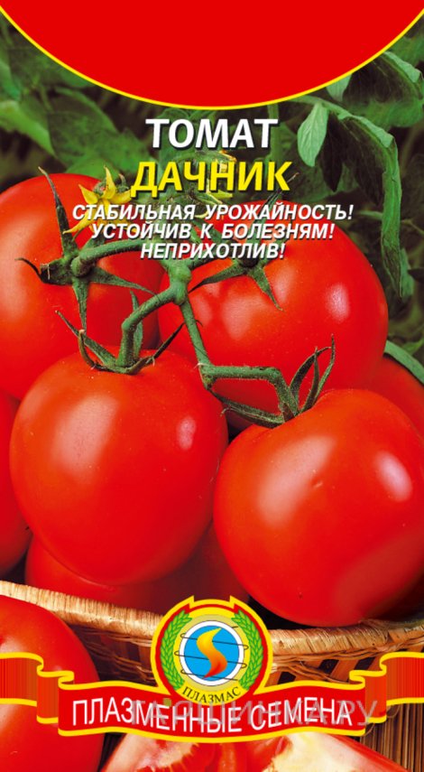 Семена  Томат Дачник  0,1 гр Плазменные семена