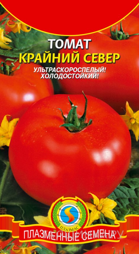 Семена  Томат Крайний север  25 шт Плазменные семена