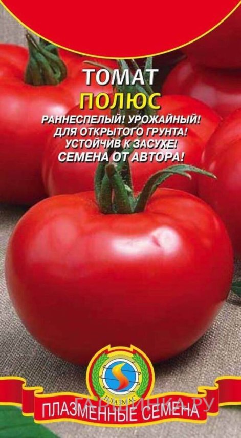 Семена  Томат Полюс  25 шт Плазменные семена