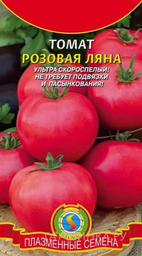 Семена  Томат Розовая Ляна  25 шт Плазменные семена