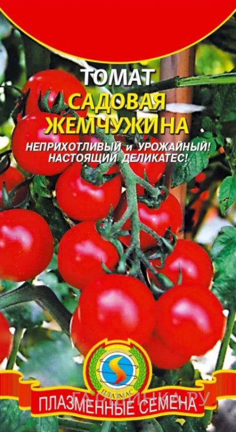 Семена  Томат Садовая жемчужина  0,1 гр Плазменные семена