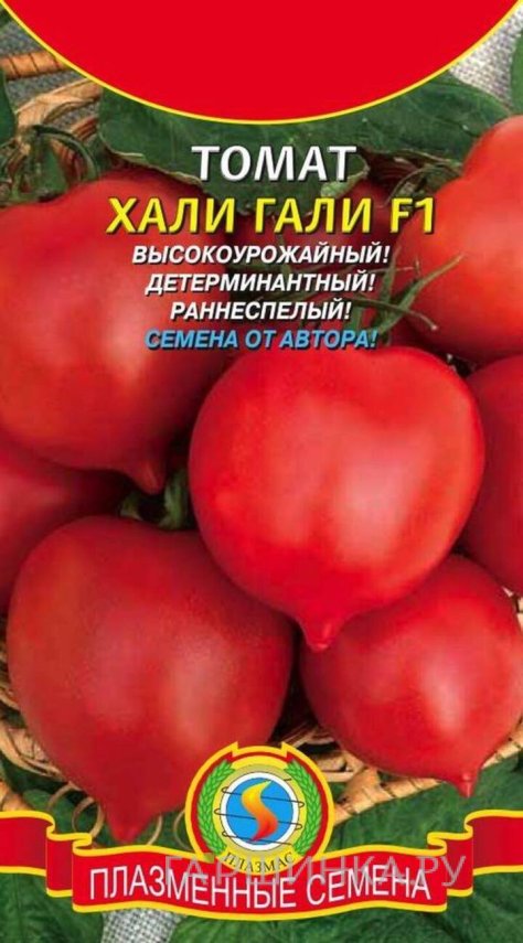 Семена  Томат Хали-Гали F1  10 шт Плазменные семена