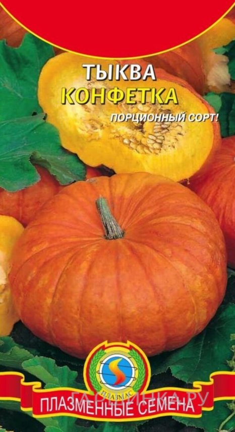 Семена  Тыква Конфетка  6 шт Плазменные семена
