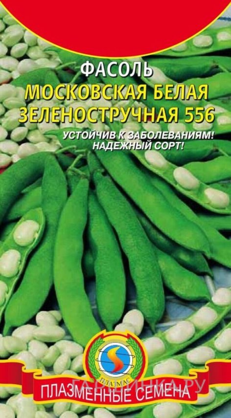 Семена  Фасоль Московская белая Зеленостручная 556  5 гр Плазменные семена