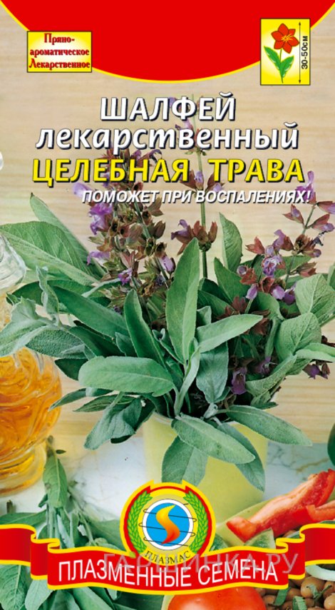 Семена  Шалфей лекарственный Целебная трава  0,2 гр Плазменные семена