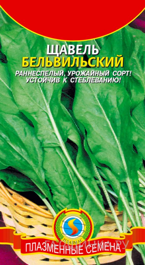 Семена  Щавель Бельвильский  0,5 гр Плазменные семена