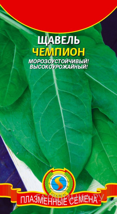 Семена  Щавель Чемпион  0,5 гр Плазменные семена
