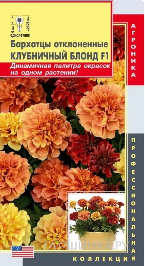 Семена  Бархатцы отклоненные Клубничный Блонд F1  7 шт Плазменные семена