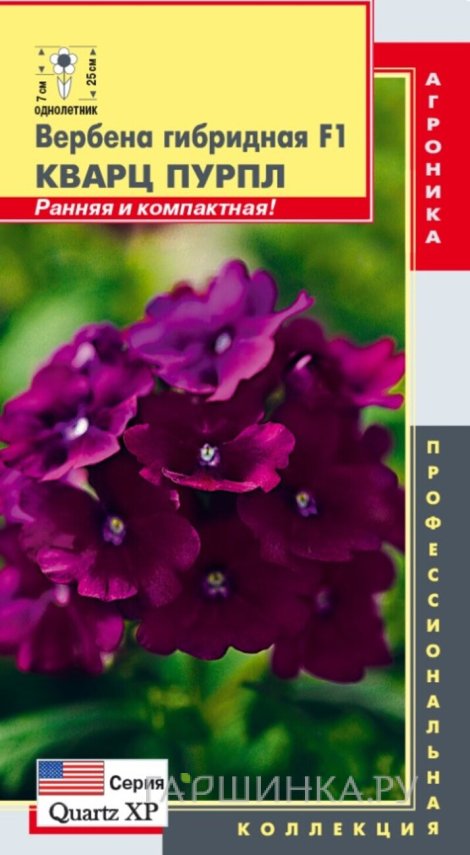 Семена  Вербена гибридная F1 (серия Quartz XP) Кварц Пурпл  5 шт Плазменные семена