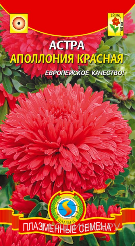 Семена  Астра Апполония Красная  0,2 гр Плазменные семена