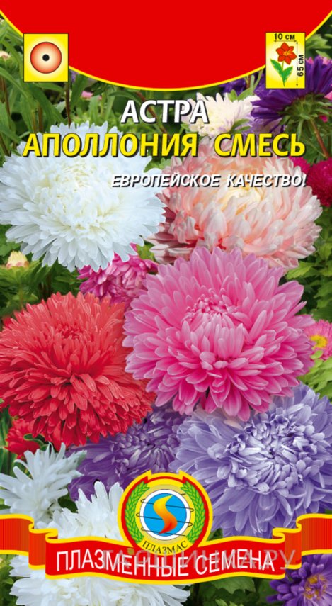 Семена  Астра Апполония смесь  0,2 гр Плазменные семена