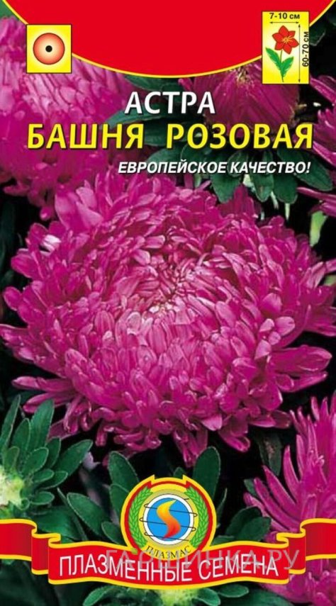 Семена  Астра Башня Розовая  0,3 гр Плазменные семена