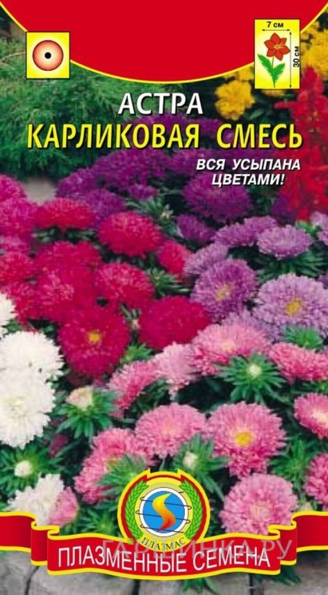Семена  Астра Карликовая смесь  0,3 гр Плазменные семена