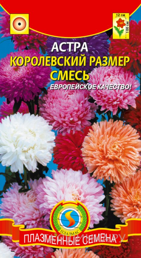 Семена  Астра Королевский размер, смесь  0,1 гр Плазменные семена