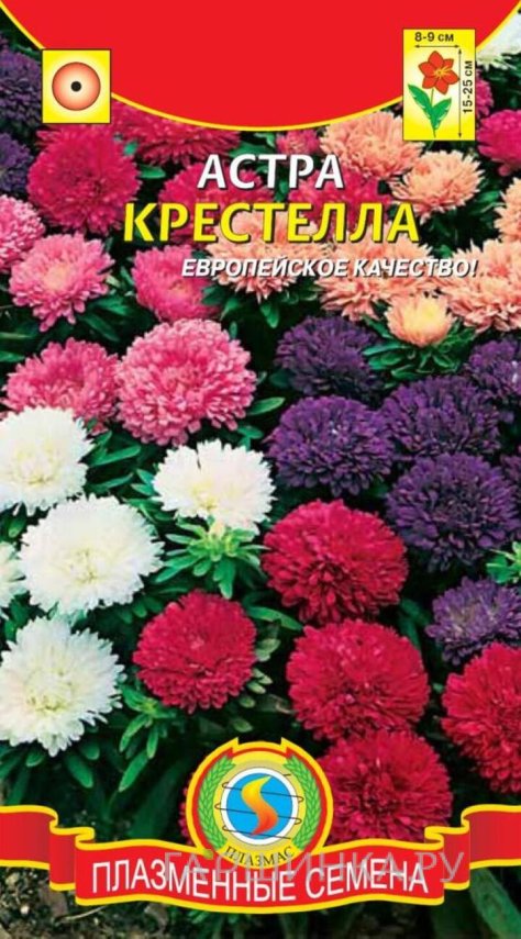 Семена  Астра Крестелла  0,2 гр Плазменные семена