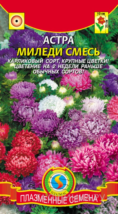 Семена  Астра Миледи смесь  0,1 гр Плазменные семена