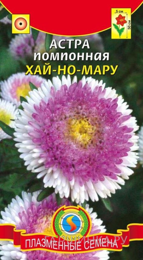 Семена  Астра помпонная Хай-Но-Мару  0,1 гр Плазменные семена