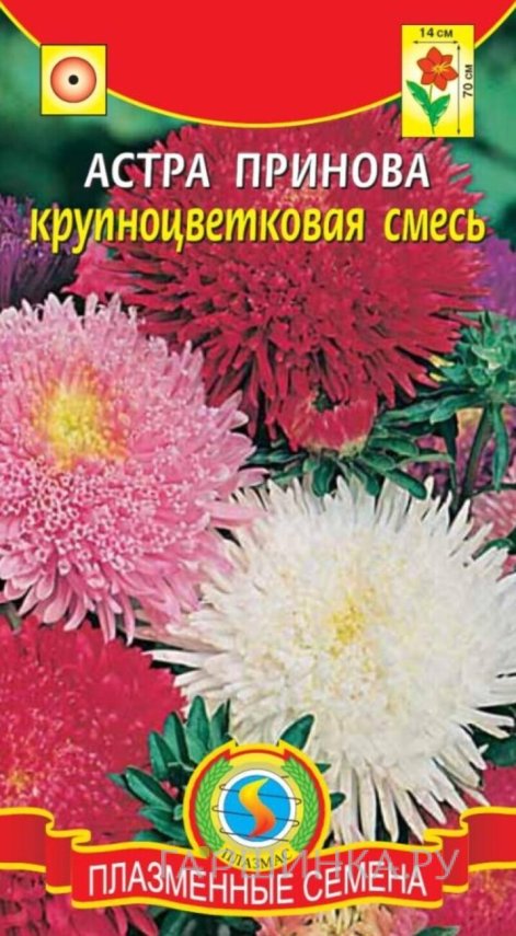 Семена  Астра Принова крупноцветковая смесь  0,2 гр Плазменные семена