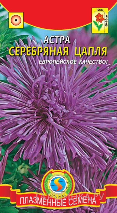 Семена  Астра Серебряная цапля  0,3 гр Плазменные семена