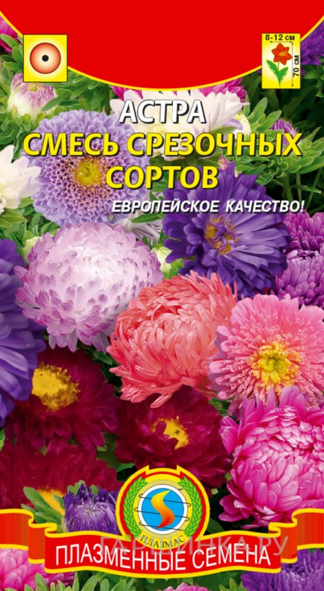 Семена  Астра Смесь срезочных сортов  0,3 гр Плазменные семена